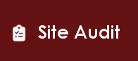 Website Audit