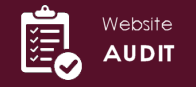 Website Audit